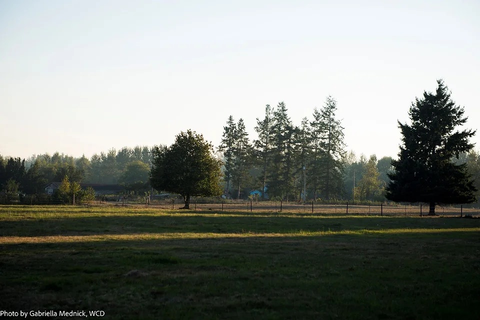 A serene landscape featuring grassy fields, scattered trees, and distant forests under a clear sky.