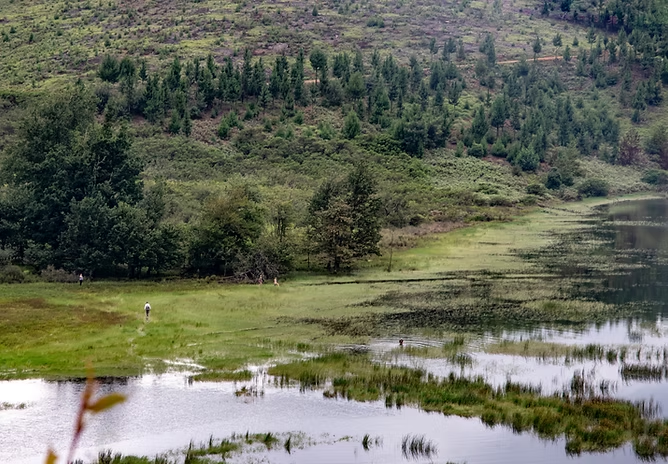 A lush green lakeside scene with trees, hills in the background, and people walking near the water.