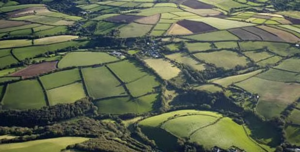 Aerial view of patchwork fields and farmlands with various shades of green and brown, surrounded by trees and small settlements.