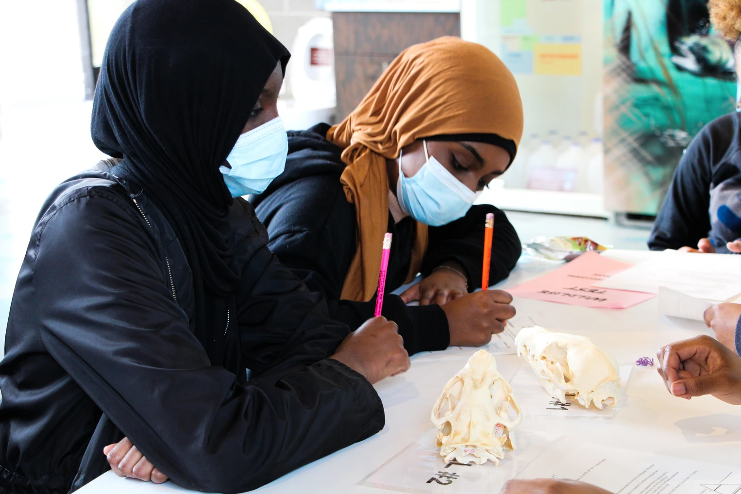 Two people in masks writing at a table with animal skulls in a classroom setting.