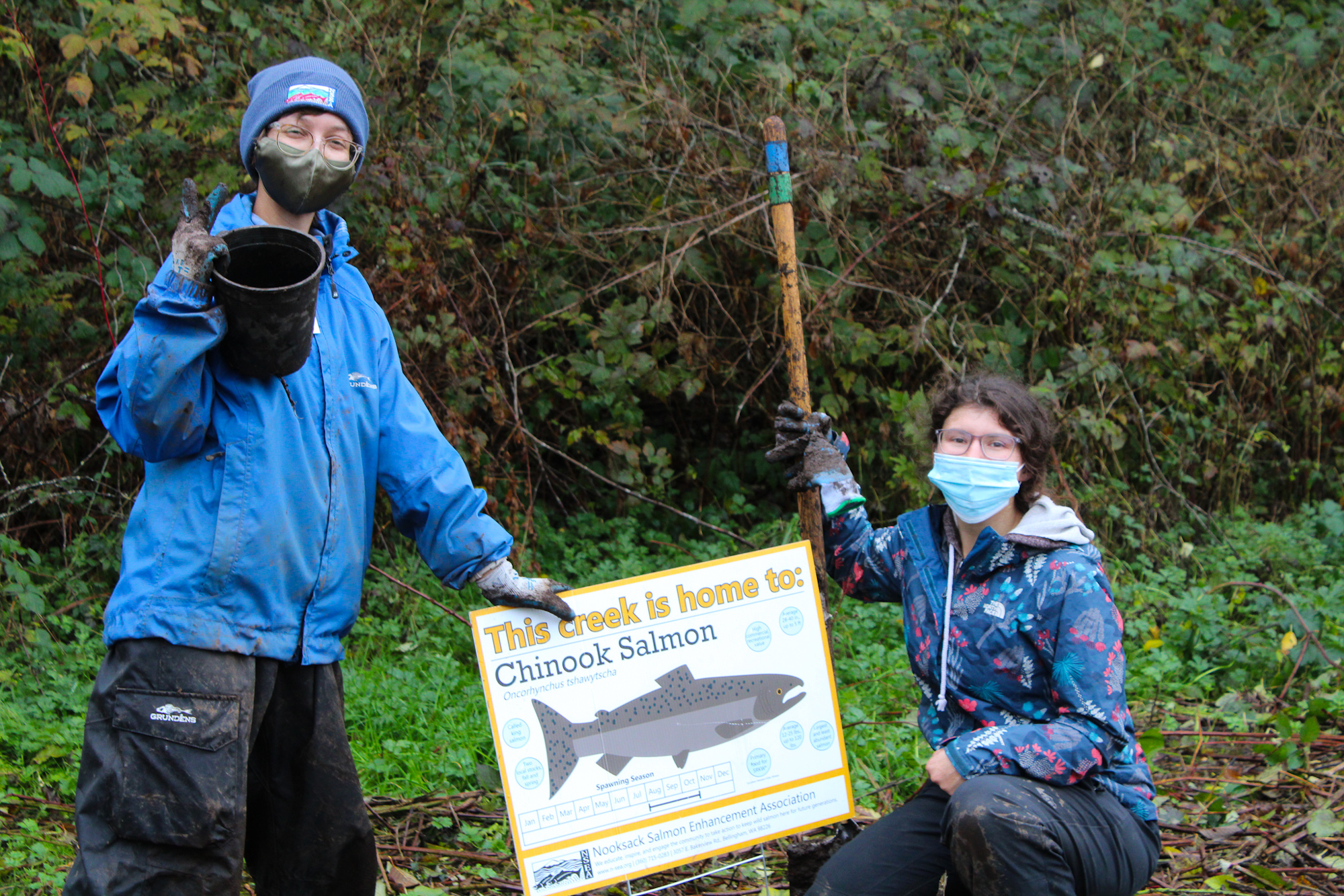Two people outdoors with a sign about Chinook Salmon, wearing masks and holding a planting tool.