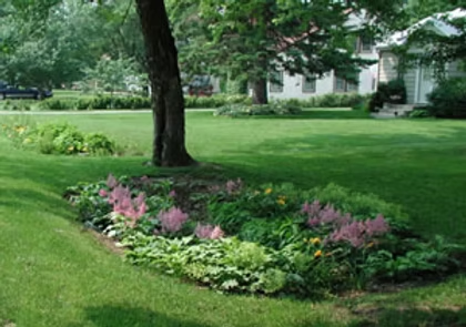 A landscaped garden with pink flowers and greenery, surrounded by a grassy lawn and trees, with houses in the background.