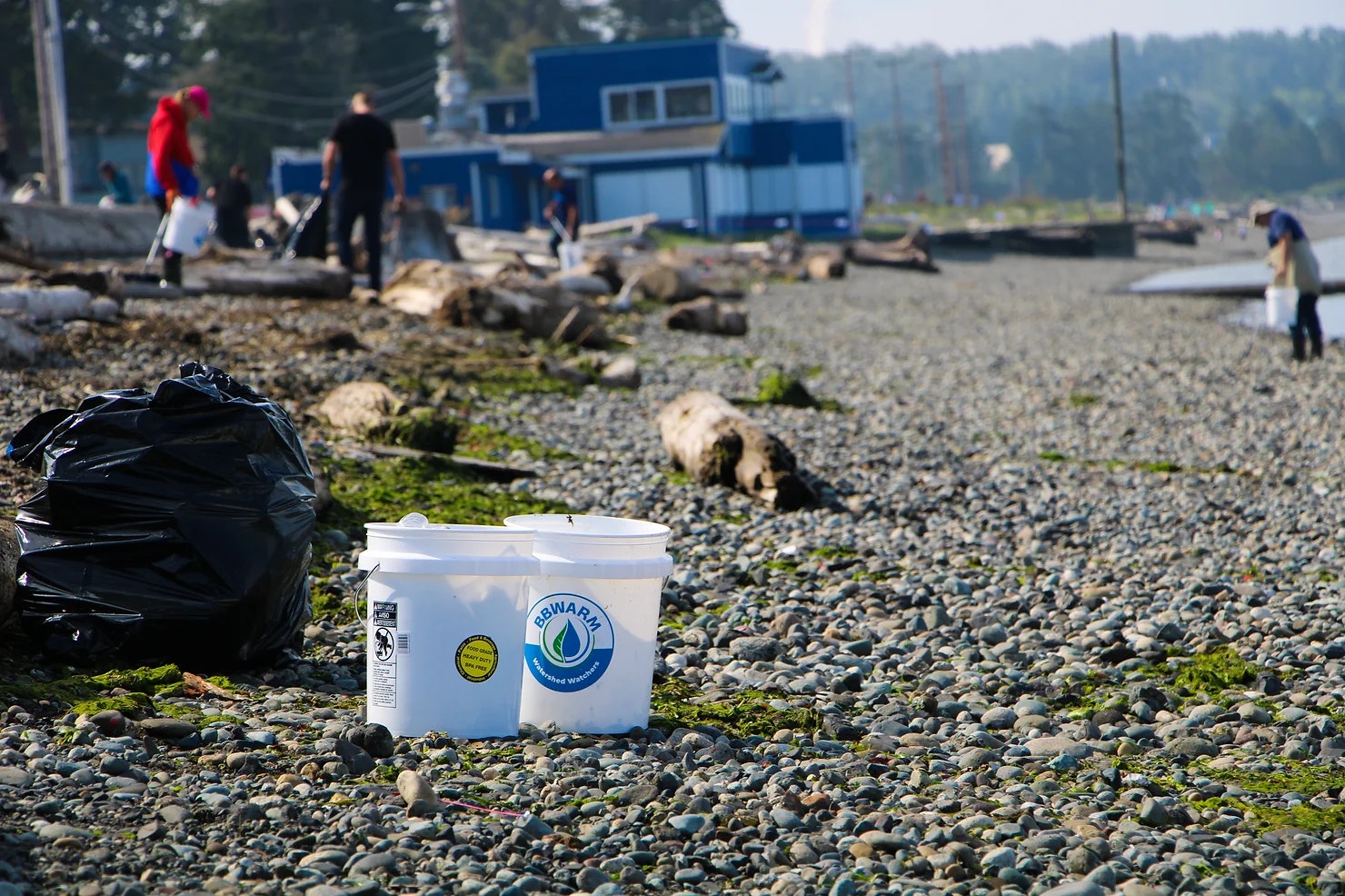 People cleaning a rocky beach with garbage bags and buckets.