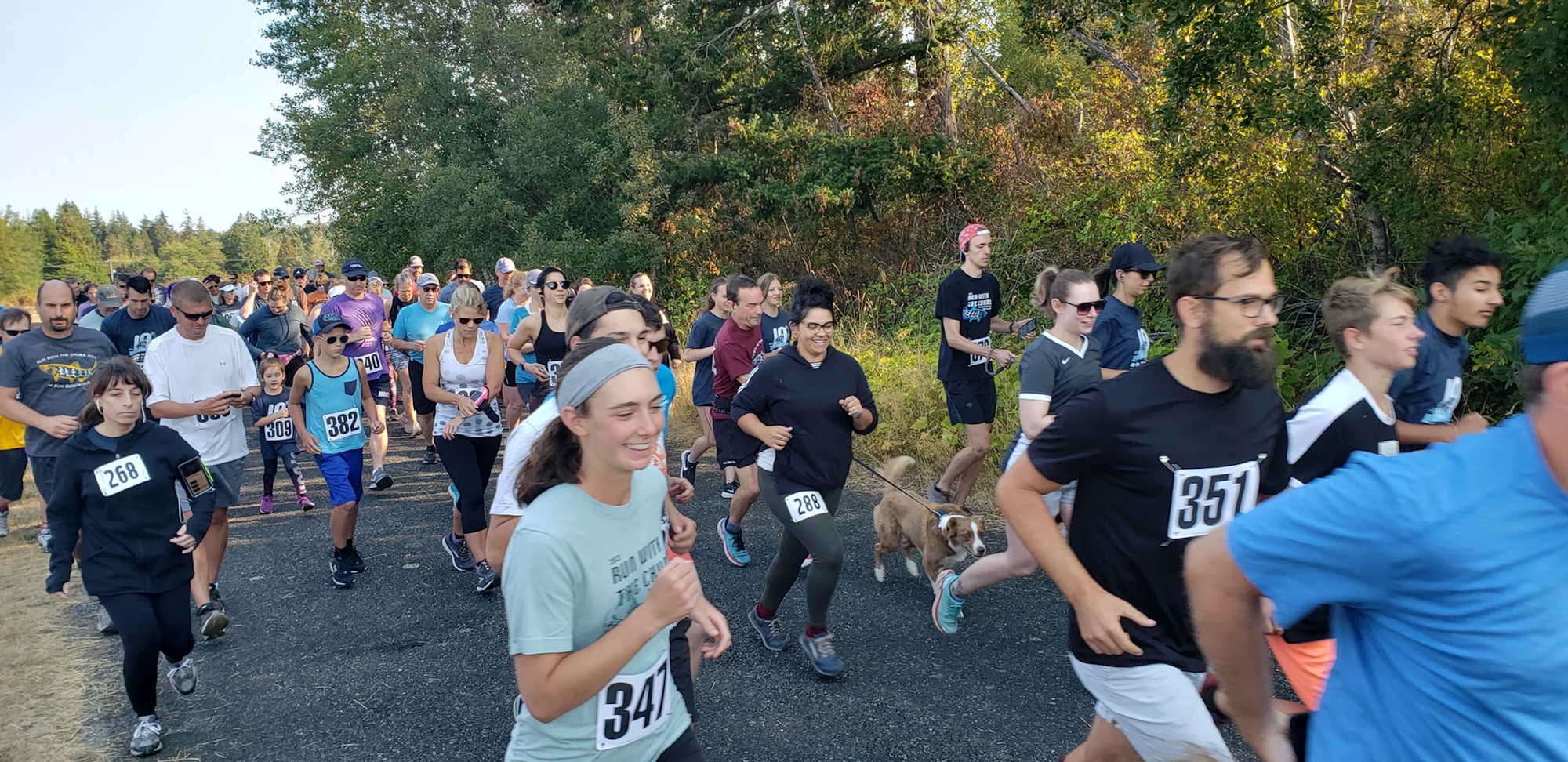 People running in a race, wearing numbered bibs, with trees and a clear sky in the background.