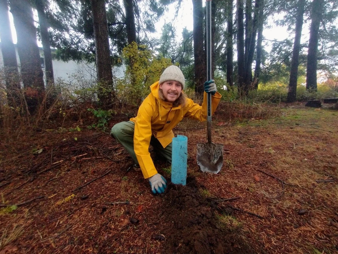 Person in a yellow jacket planting a sapling in a forested area with a shovel.