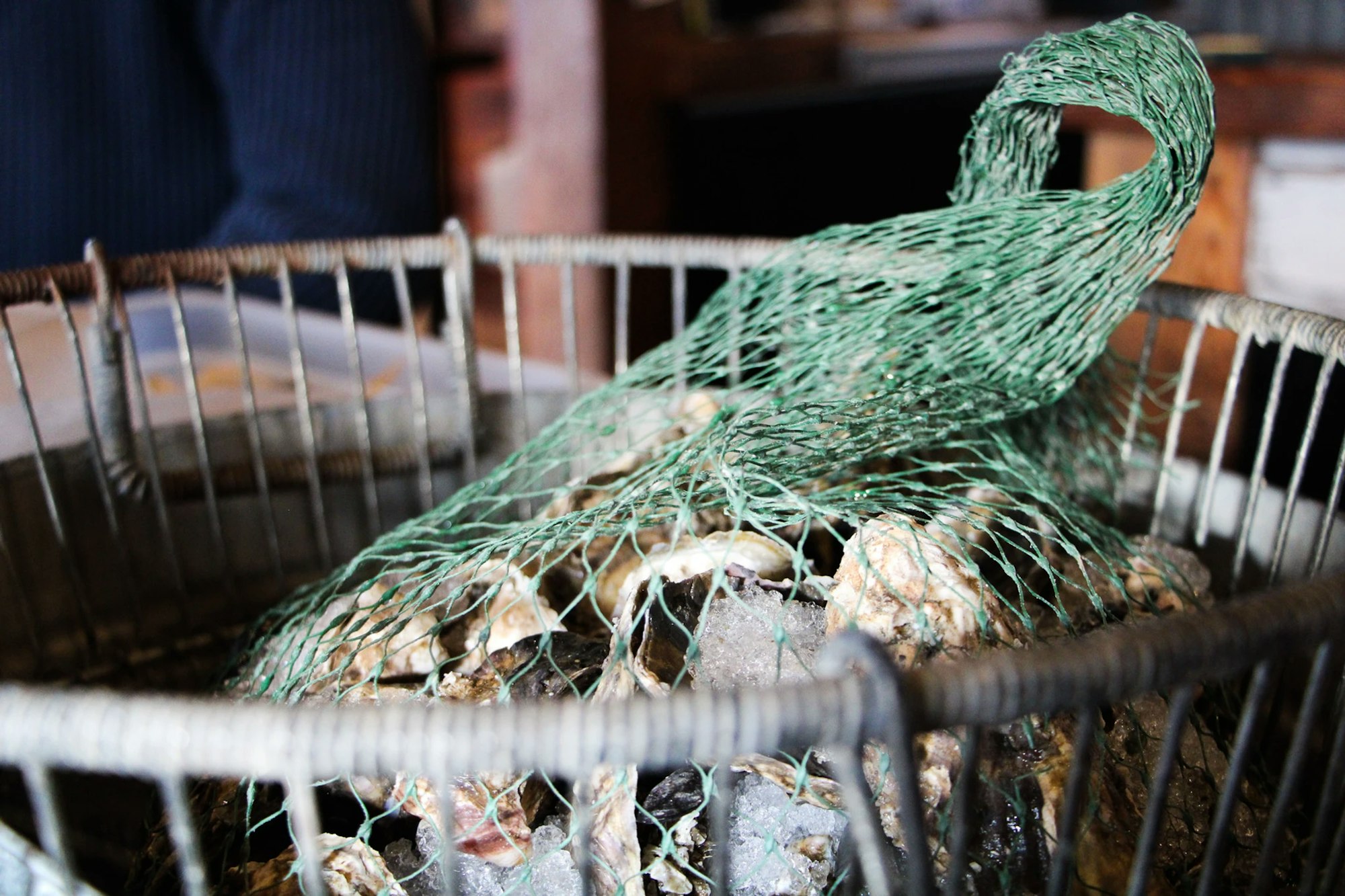 A wire basket with oysters in a green netting.