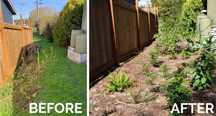 Before and after garden makeover; left shows sparse plants, right shows mulched soil and flourishing greenery.
