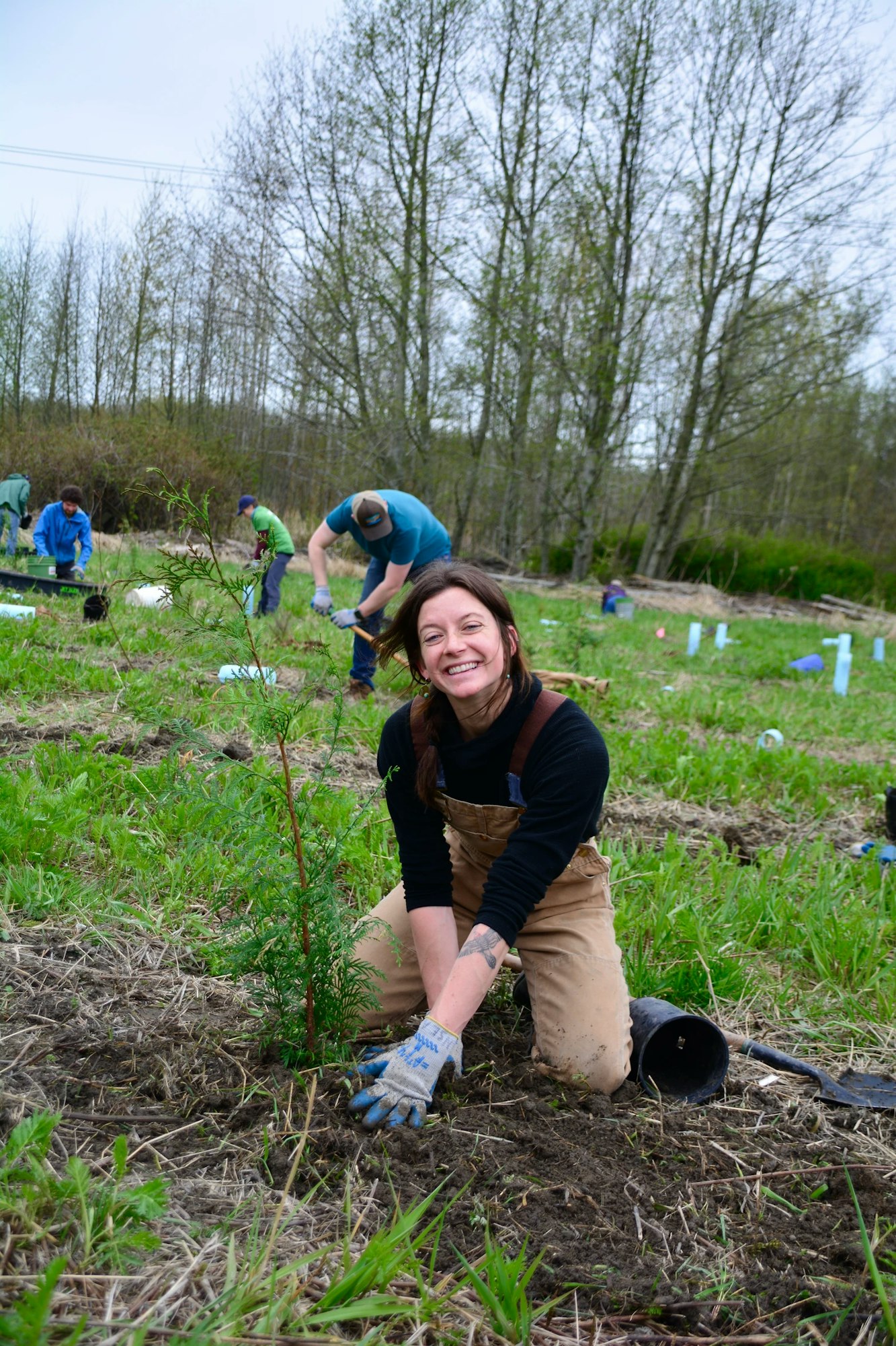 A woman smiles while planting a tree in a field. Others in the background are doing similar activities.