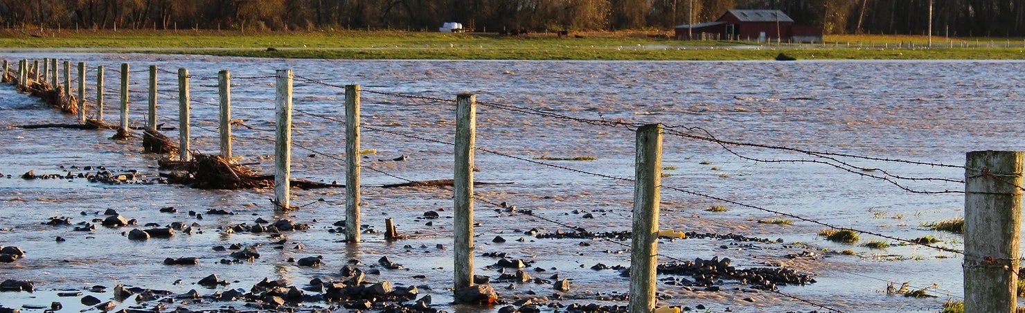 Flooded field with water submerging a fence and rocky path, a barn visible in the background.