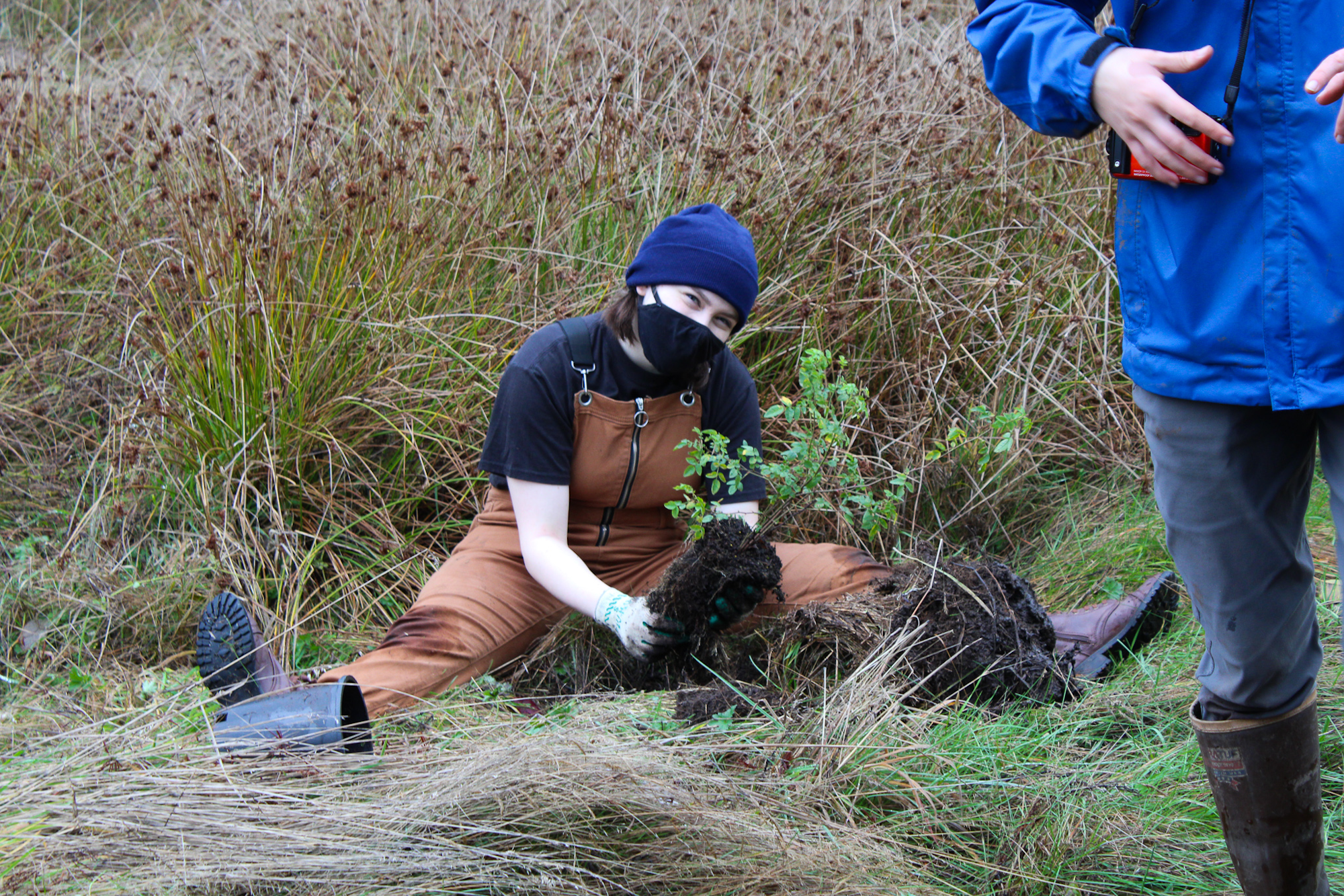 A person sits on the ground in outdoor clothing, holding a plant with roots, amidst tall grass.