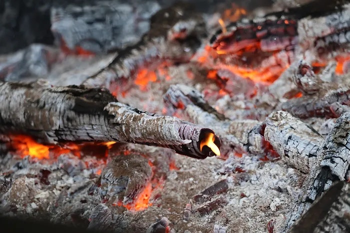 Burning wooden logs with glowing embers and ash.
