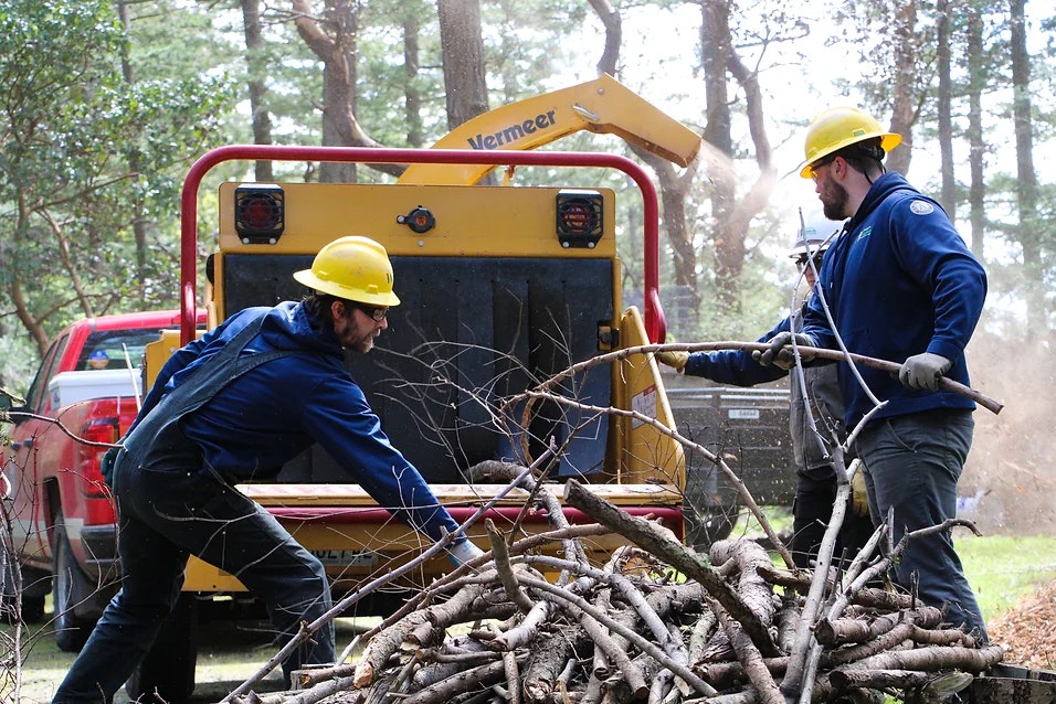 Two workers in safety gear feeding branches into a wood chipper in a forest area.