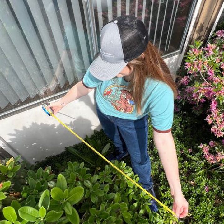 A person measures plants with a tape measure outside near a window, wearing a cap and a blue T-shirt.