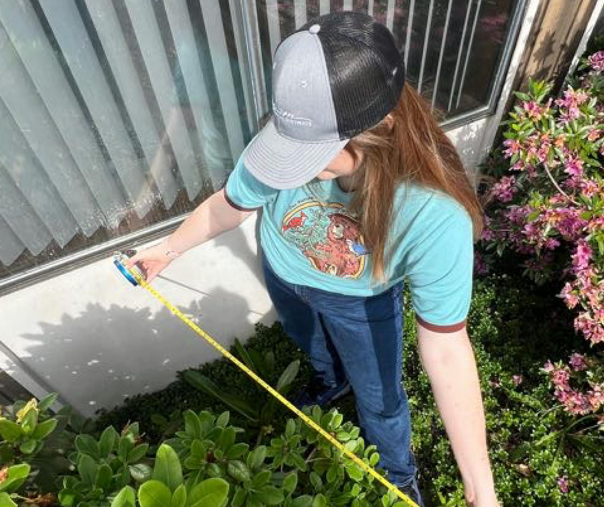 A person measures plants with a tape measure outside near a window, wearing a cap and a blue T-shirt.