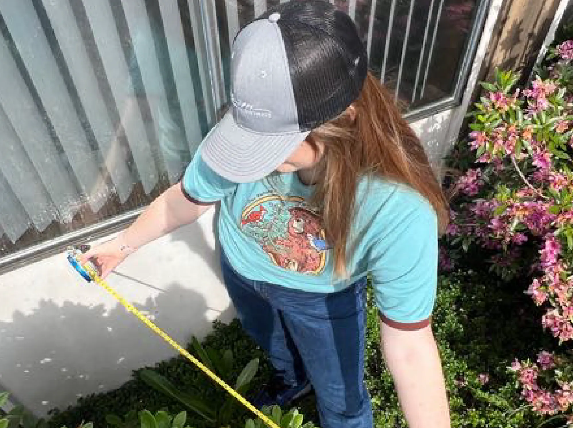 A person measures plants with a tape measure outside near a window, wearing a cap and a blue T-shirt.