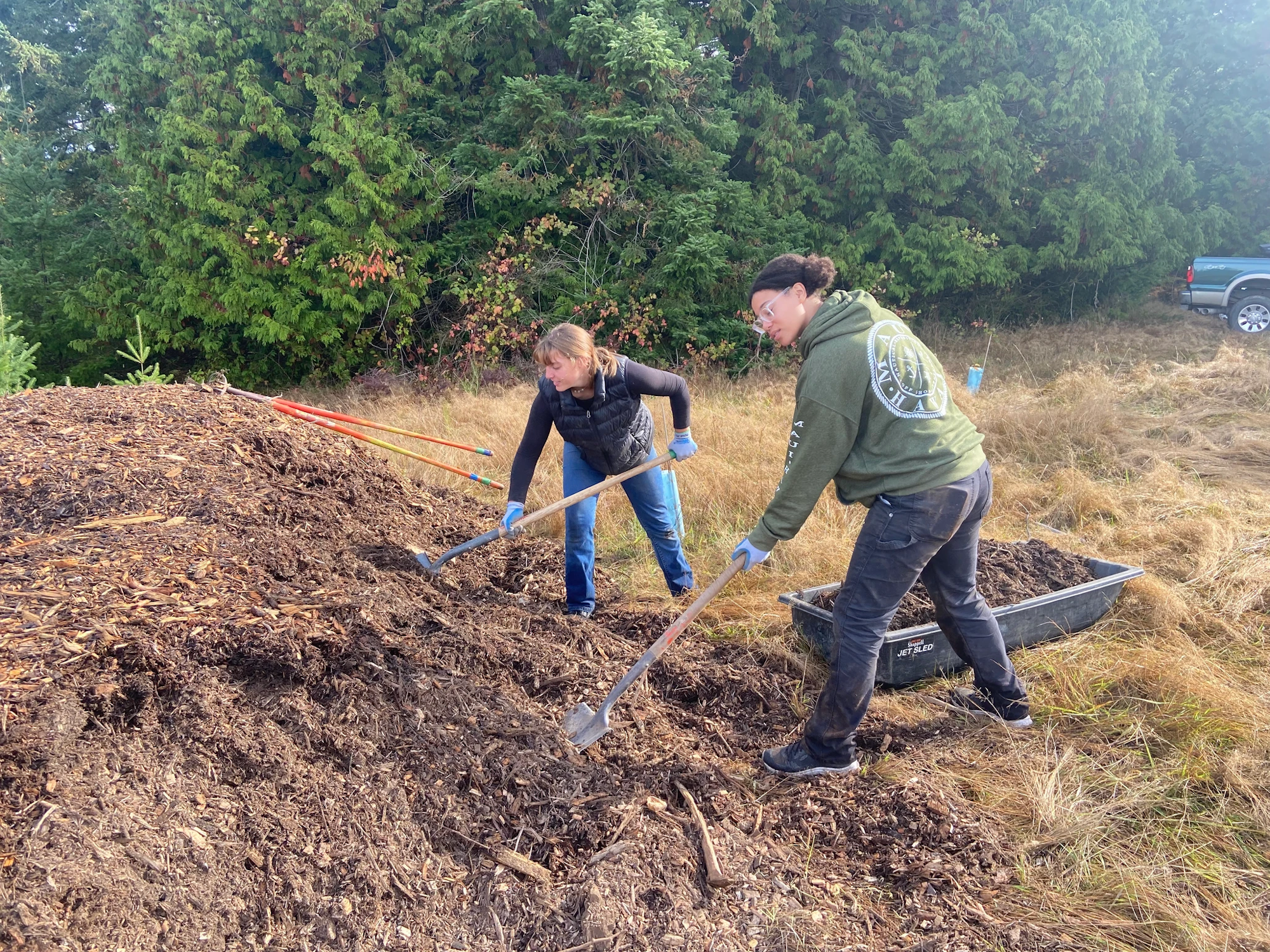 Two people are shoveling mulch into a wheelbarrow in an outdoor setting.