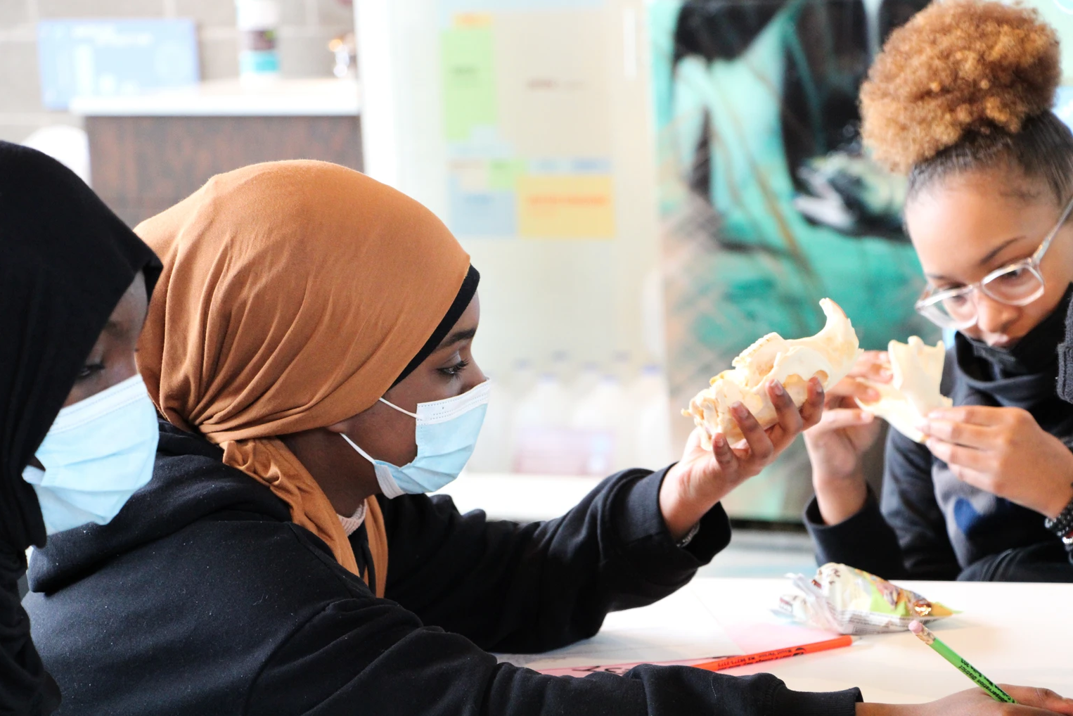 Three people examining bone models, wearing masks and engaged in study or discussion.