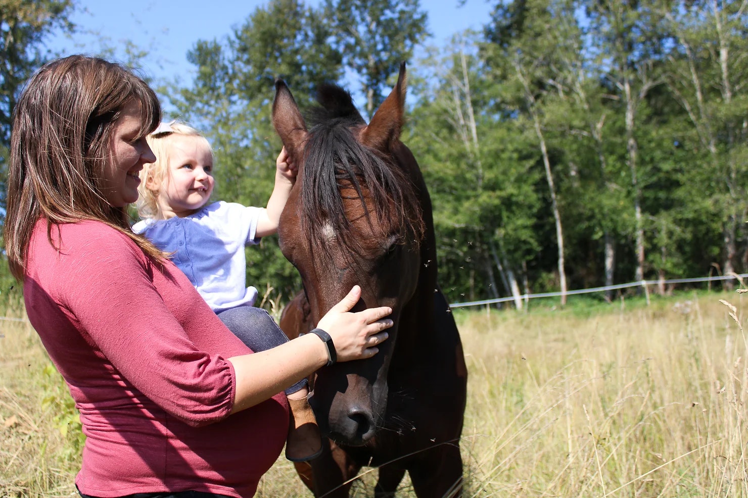 A woman with a child petting a horse in a grassy field.