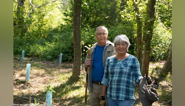 Elderly couple in a forest, holding walking sticks, standing in sunlight with trees and small plants around them.