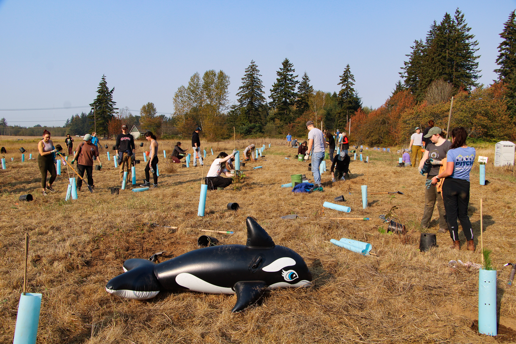People planting trees in a field with a large inflatable orca, surrounded by tubes and planting tools.