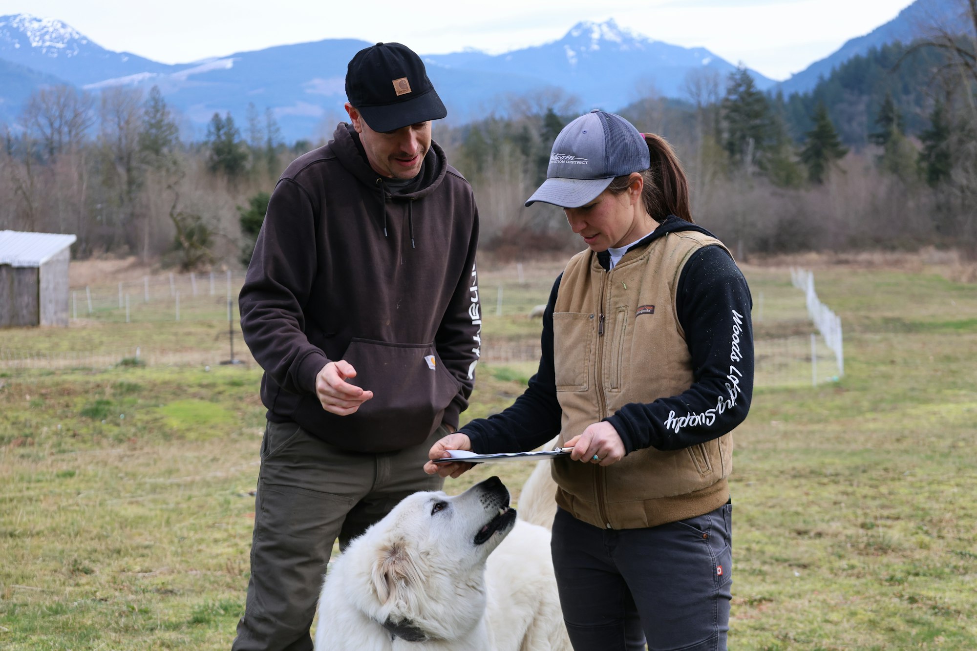 Two people analyze a document while a dog looks up at them in a rural outdoor setting with mountains in the background.