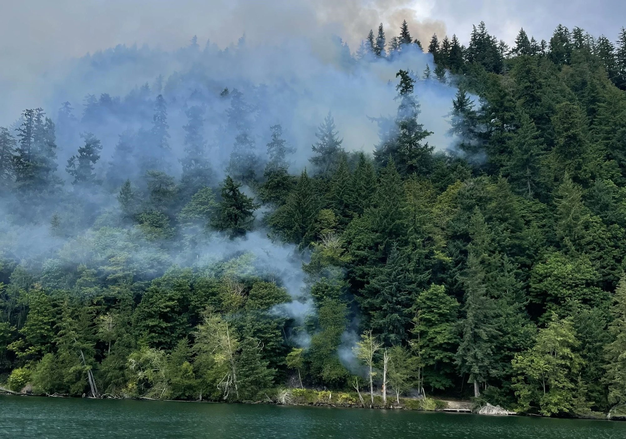 A forest with smoke rising, suggesting a fire amidst dense greenery near a body of water.