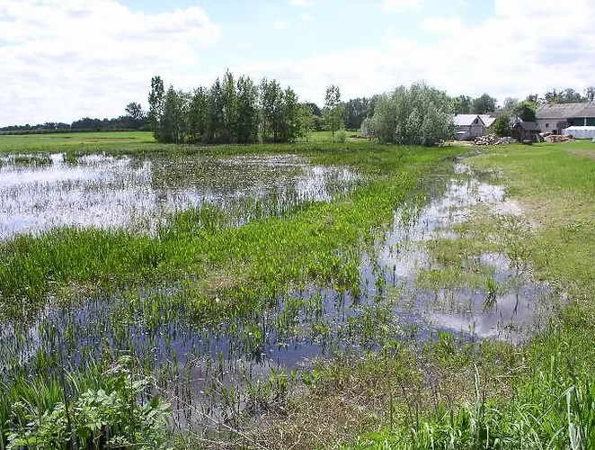A flooded grassy area with trees and a distant building under a partly cloudy sky.