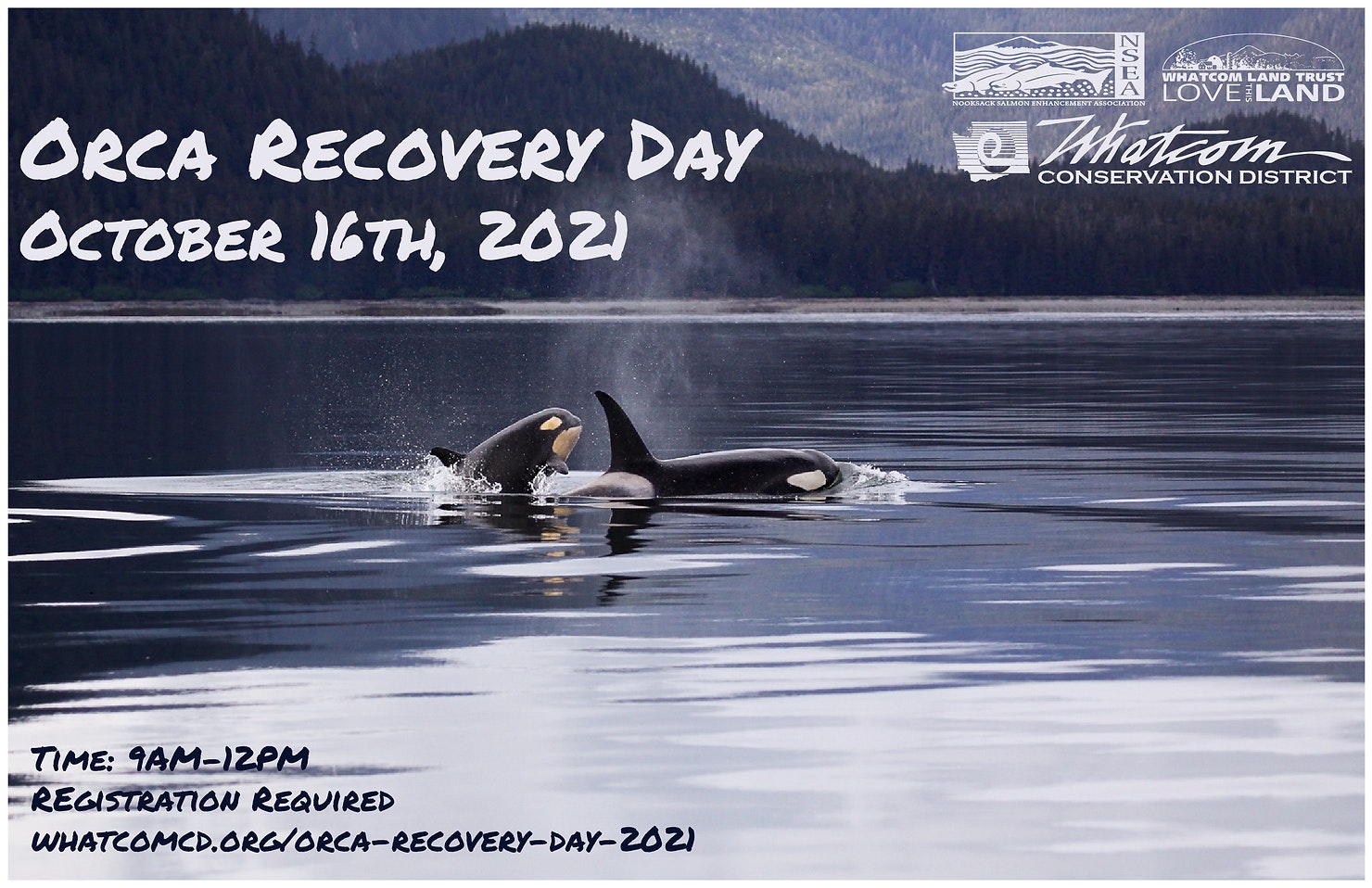 Orca Recovery Day on October 16th, 2021, 9AM-12PM. Registration required, details at whatcomcd.org.