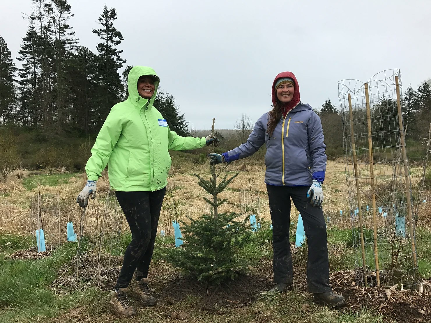 Two people outdoors planting a small tree, wearing jackets and gloves, with a forest in the background.