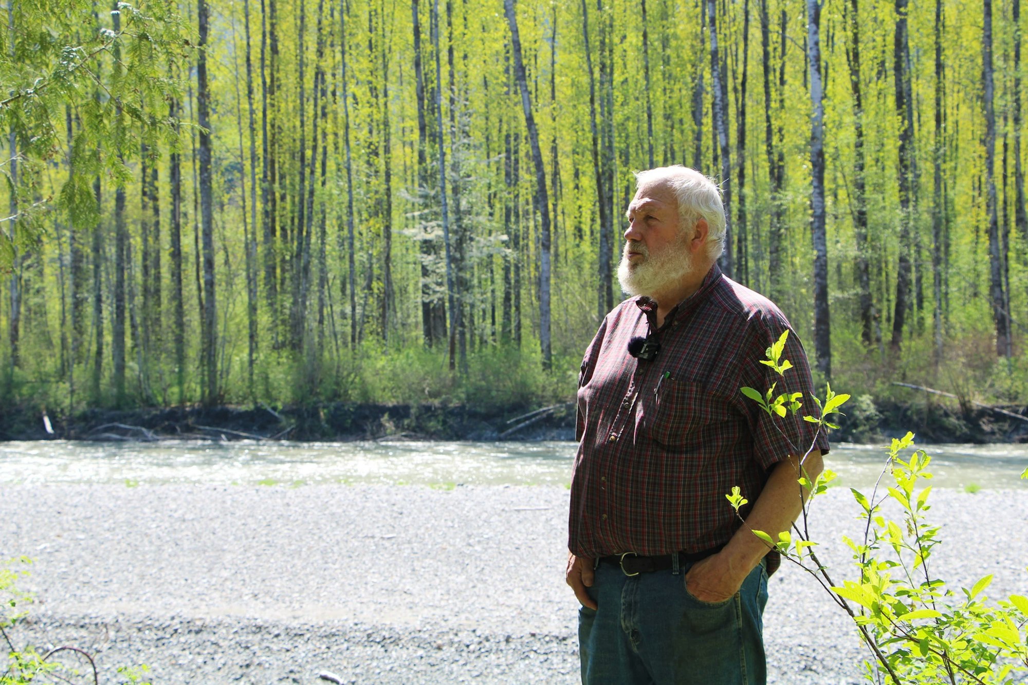 An older man with a beard stands in a forest, next to a river, on a sunny day.