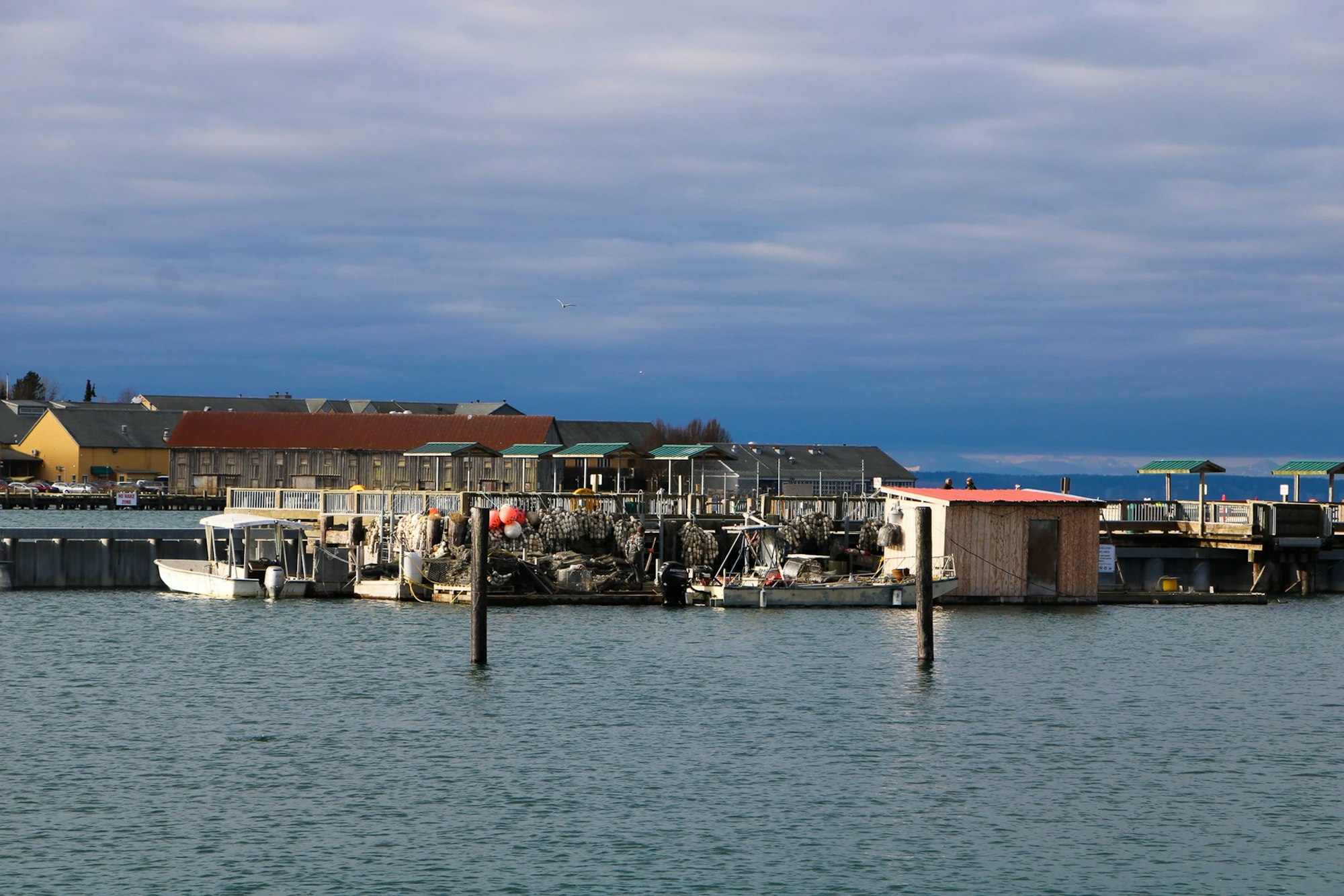 Fishing boats and equipment docked at a pier with buildings in the background under an overcast sky.