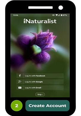 iNaturalist app login screen with options to log in via Facebook, Google, email, or create an account.