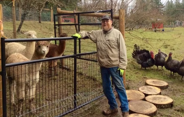 A person stands by a fence with alpacas on one side and turkeys on the other, in a rural setting with wooden stepping stones.