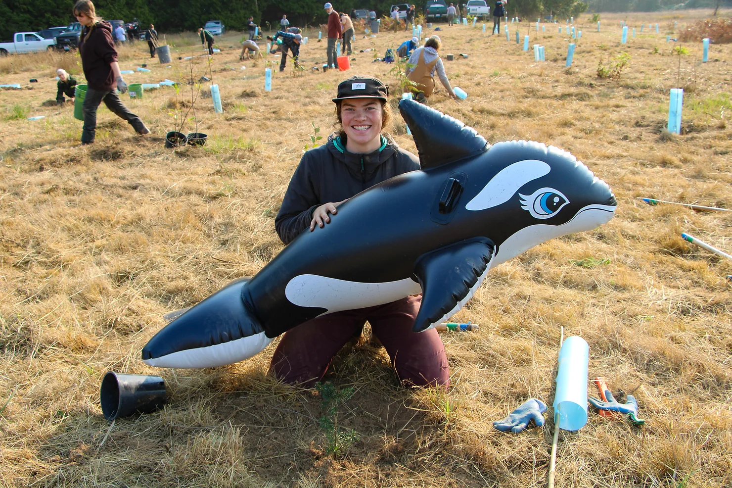 A person kneels in a field holding an inflatable orca. People are planting trees in the background.