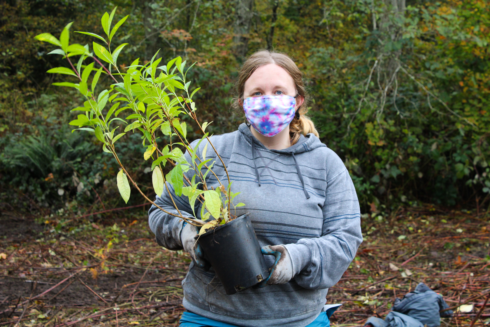 A masked person wearing gloves holds a small potted plant in a forest setting.