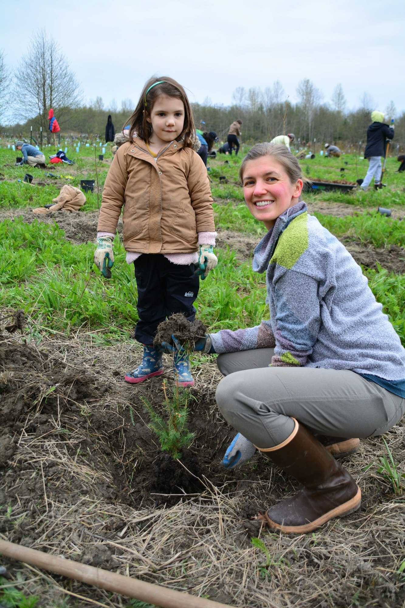 A woman and child planting a tree in a field, surrounded by others engaged in similar activities.