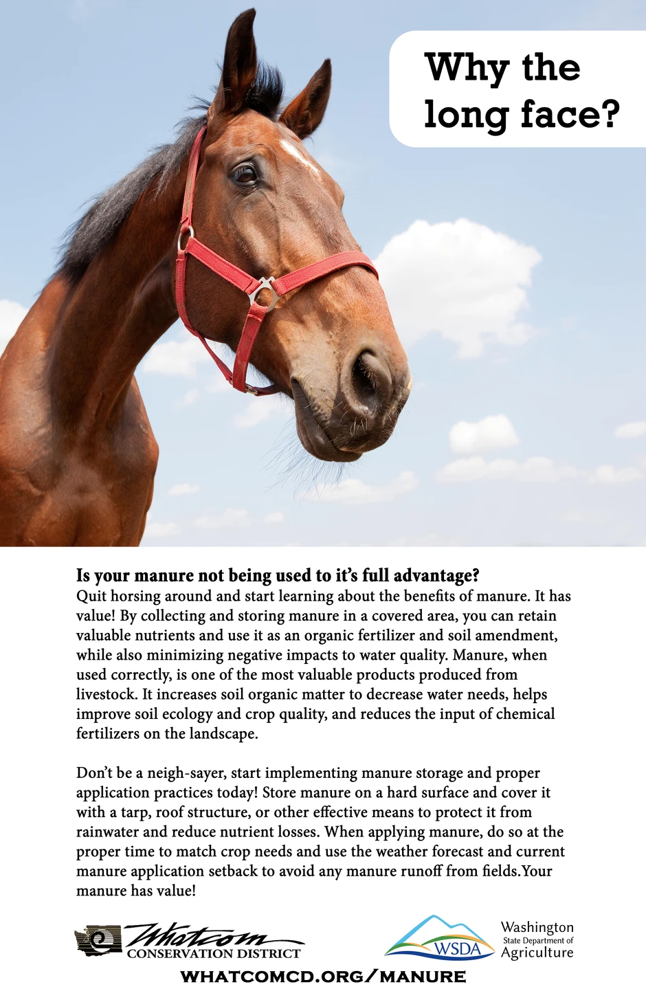 A horse with text promoting the benefits of manure as organic fertilizer.
