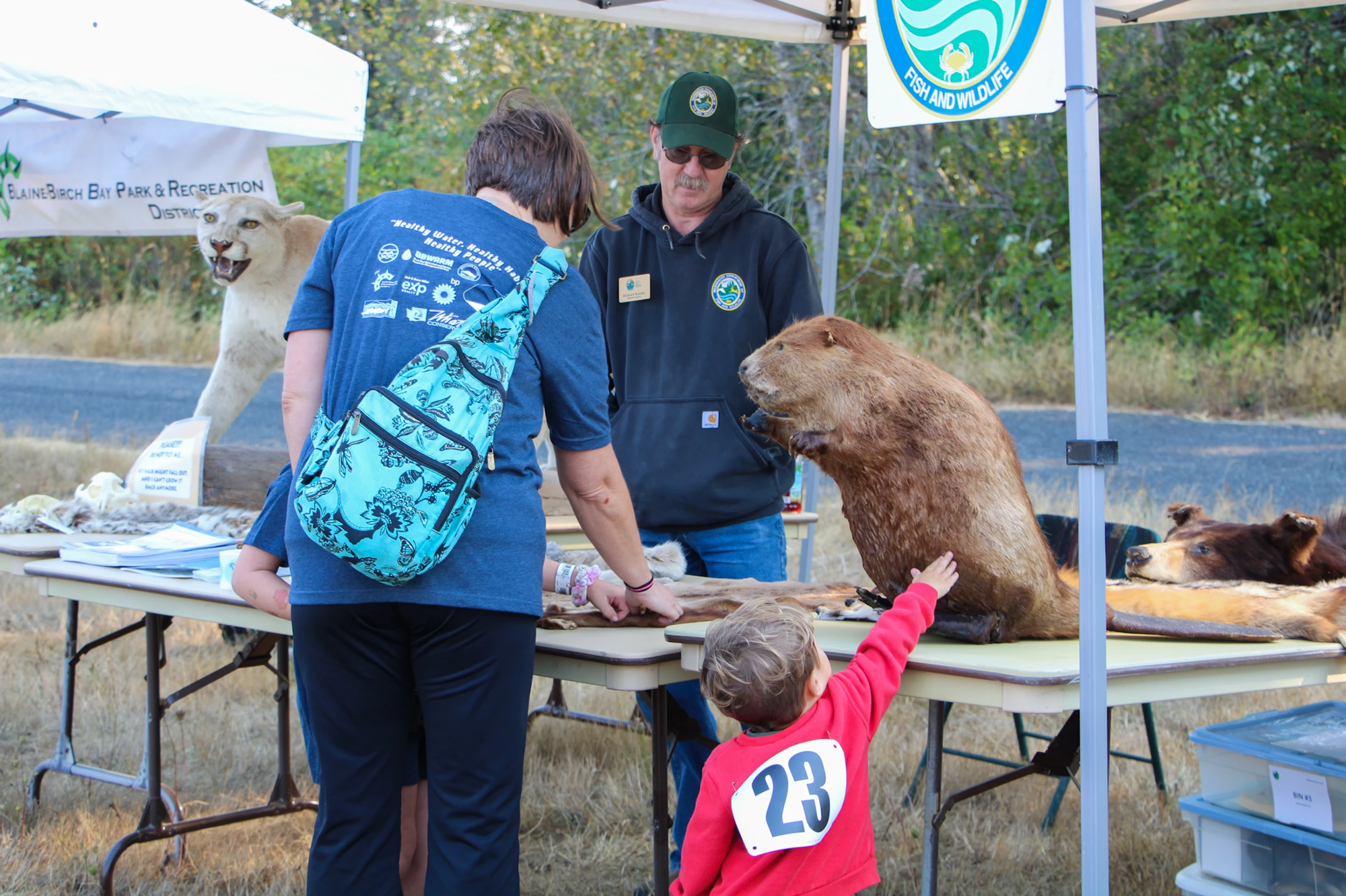 A wildlife display with taxidermy animals. A child in red touches a beaver display, supervised by adults. Outdoor event setup.