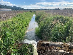 A narrow water channel runs through a field, flanked by green vegetation under a partly cloudy sky.