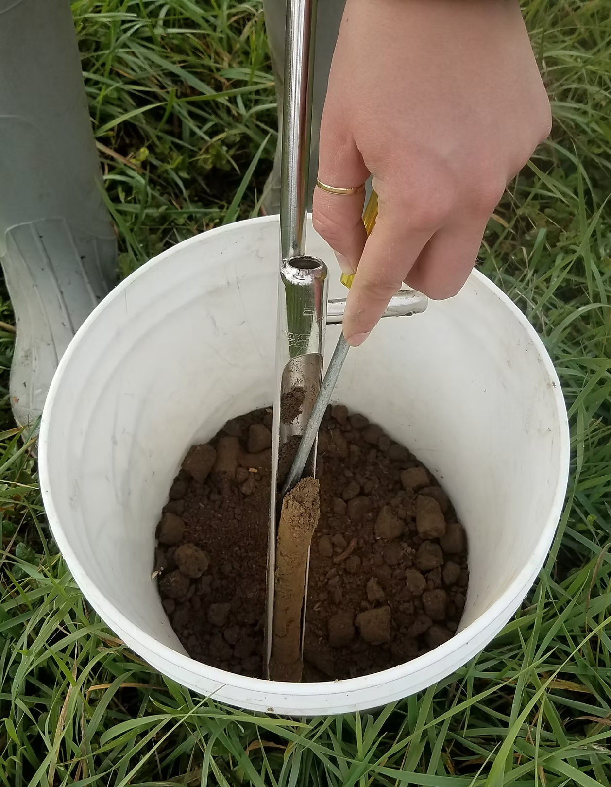 A hand holding a soil core sampler over a bucket filled with chunks of soil, surrounded by grass.