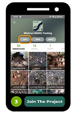 Wildlife tracking app interface with join button highlighted; shows observations of animals and a prompt to join the project.