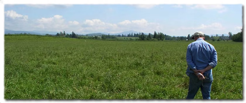 A person in a blue shirt stands in a wide green field, looking towards distant trees and hills under a partly cloudy sky.