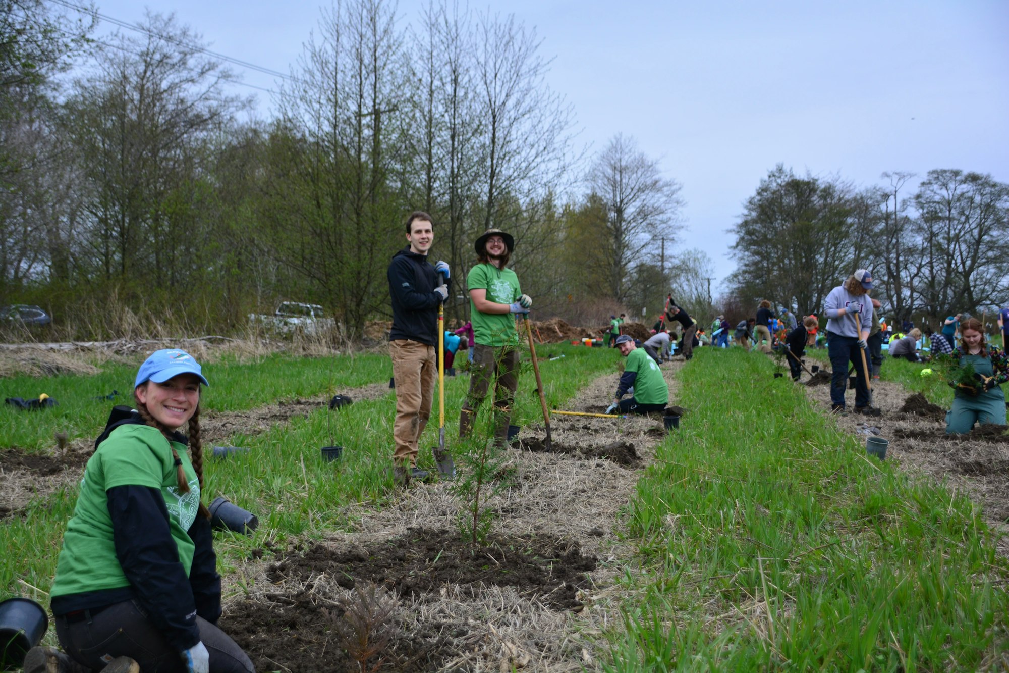 People planting trees in a field, engaged in a group tree-planting activity.