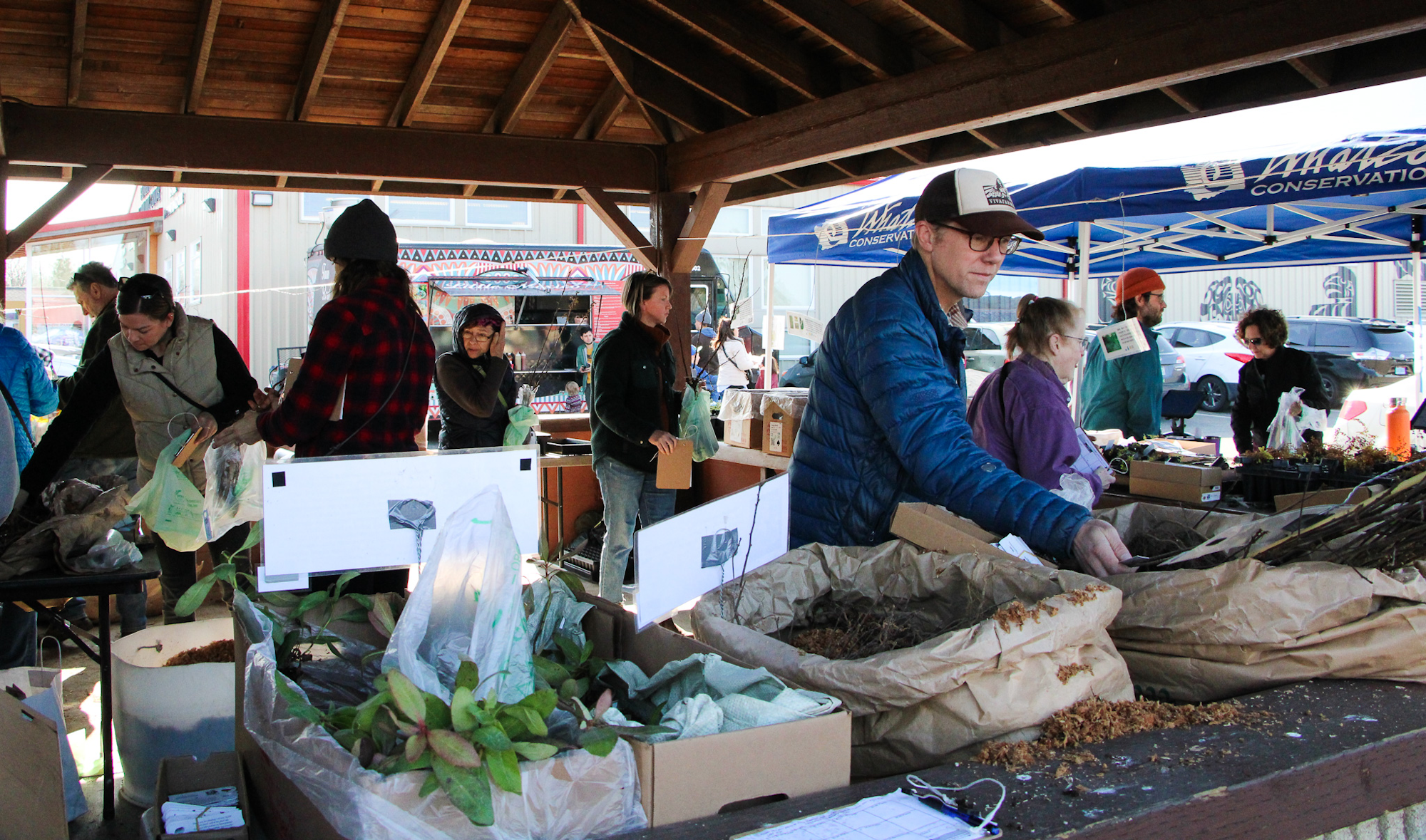 People selecting plants and gardening supplies at an outdoor market or event.