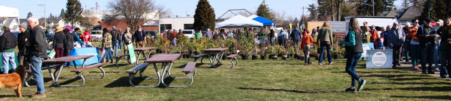 People at an outdoor event with tables, plants, and a dog in a grassy area.