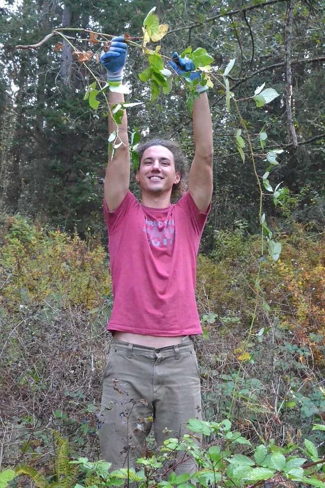 A person in a red shirt and gloves holding up leaves and branches outdoors, smiling in a wooded area.