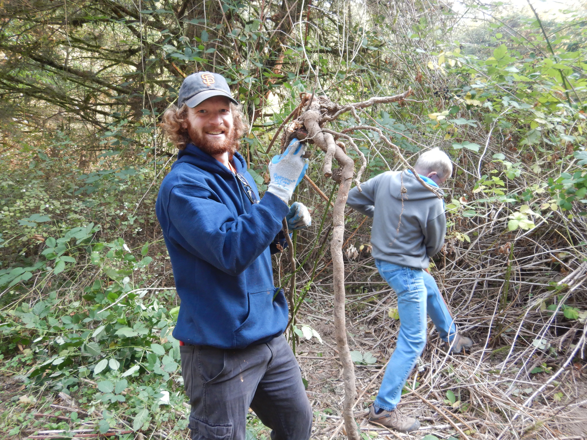 Two people are clearing plants in a forested area. One smiles, holding a root.
