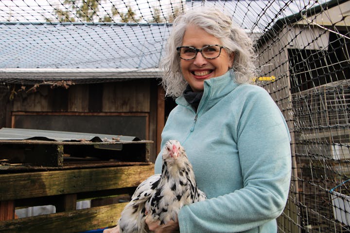 A person wearing glasses and a light blue jacket, holding a speckled chicken in an outdoor enclosure.