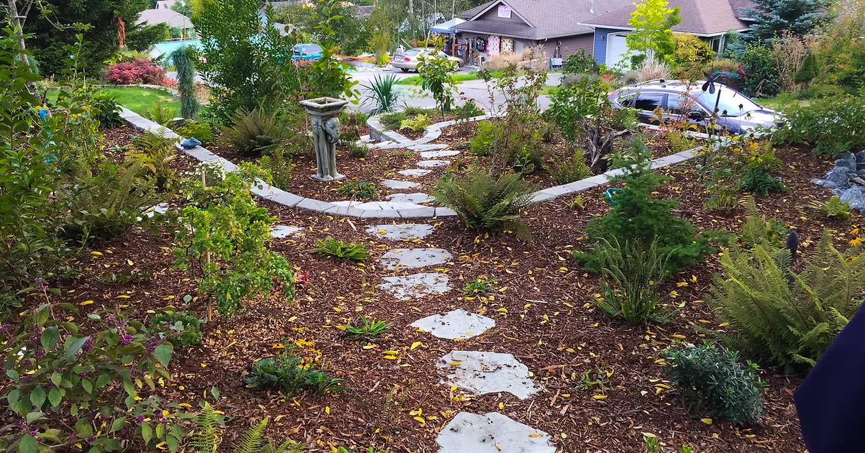 Garden with a stone path, plants, a birdbath, and cars in the background.