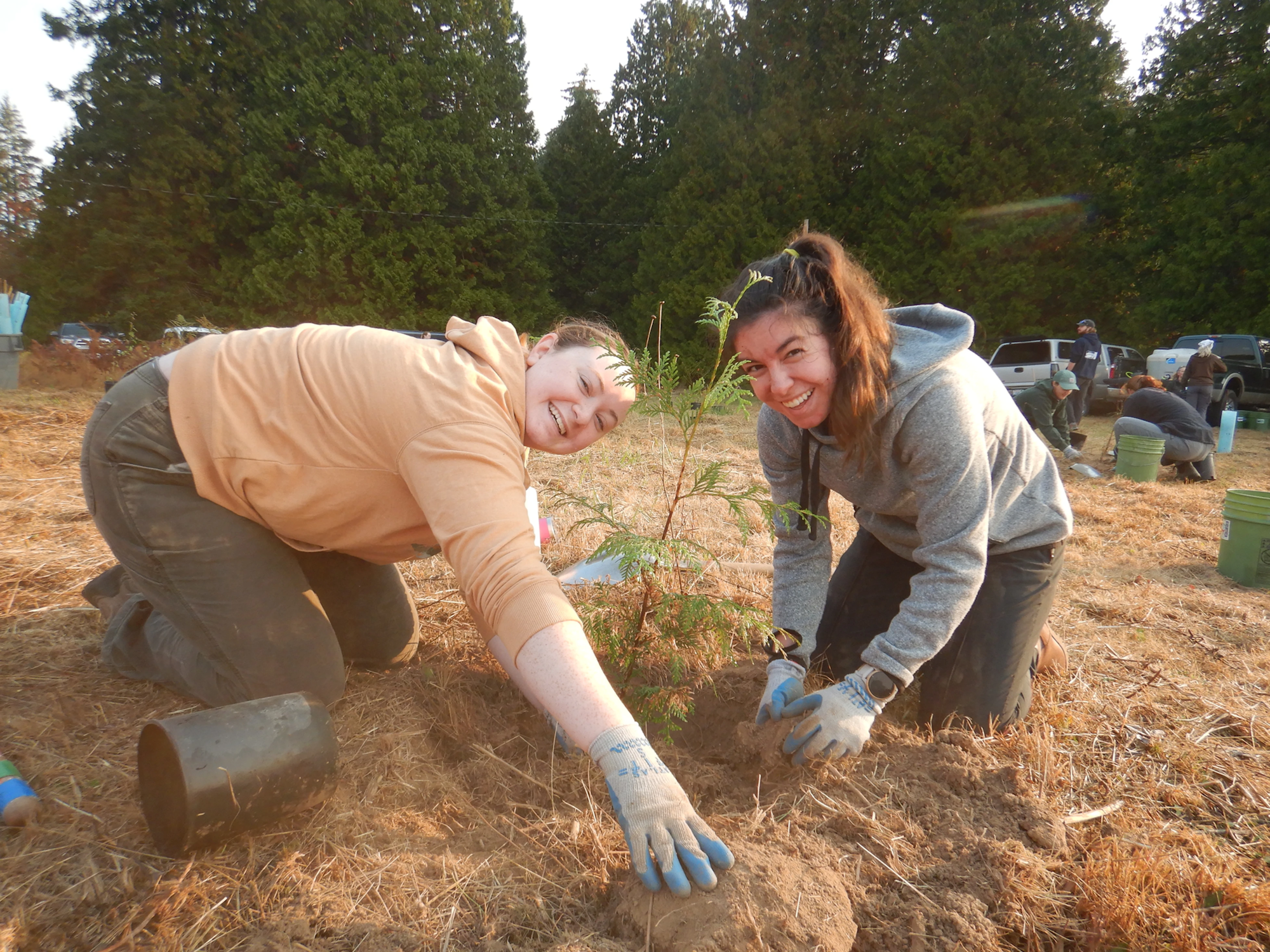 May contain: soil, garden, nature, outdoors, clothing, glove, person, plant, planting, gardening, pickup truck, transportation, truck, vehicle, tree, gardener, box, hat, pants, and vegetation